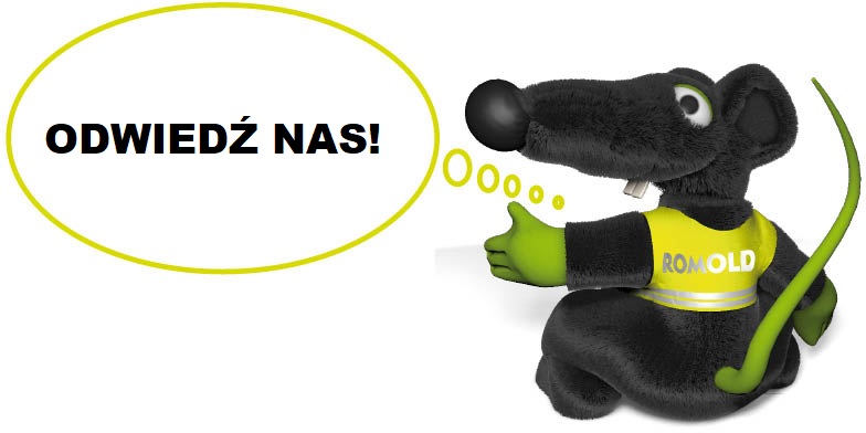 Rat_ROMOLD_vor_Ort_PL