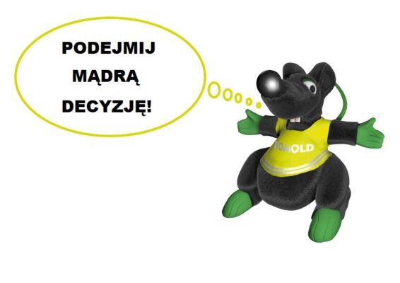 Ratte_Bau_Schlau_Think_Smart_PL